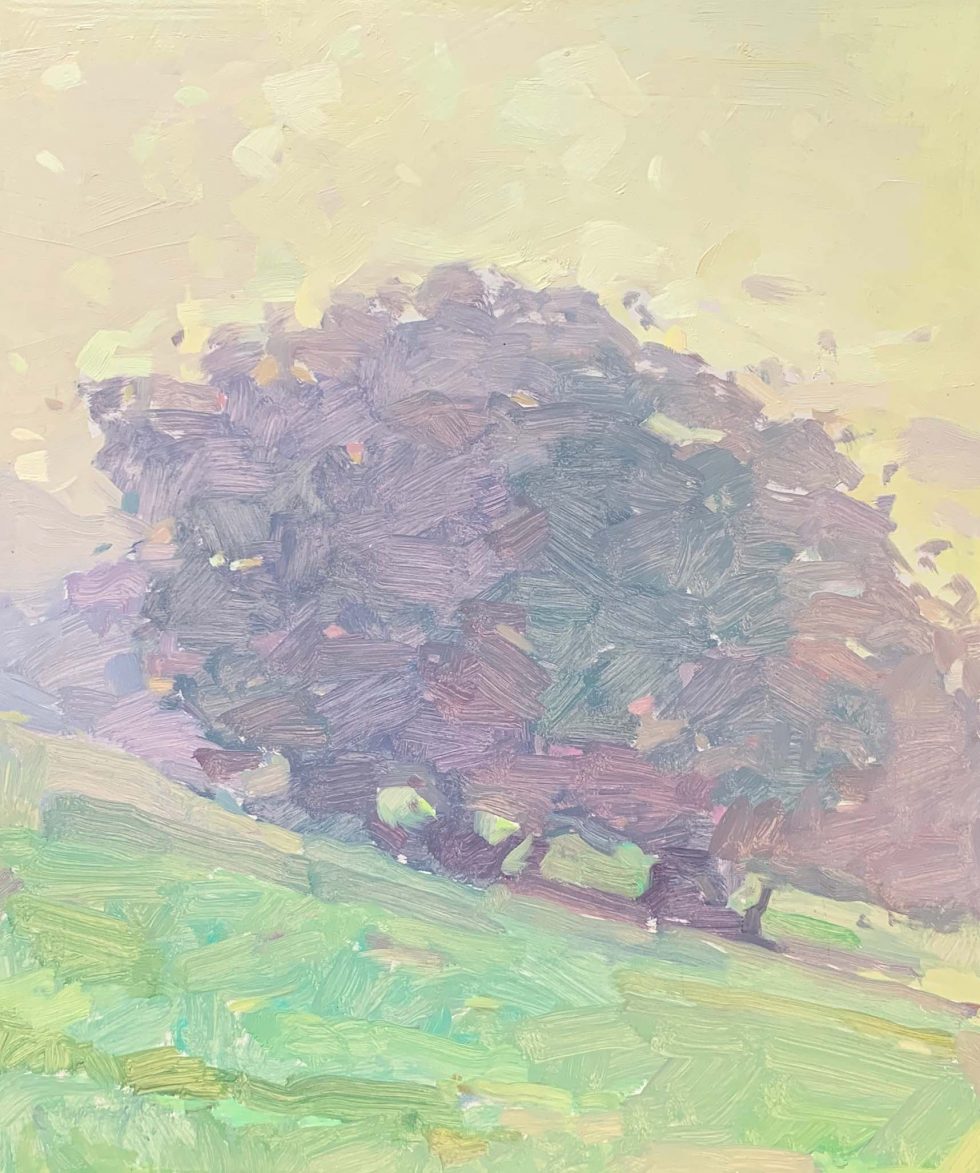 Morning light, salisbury by Natalia Avdeeva