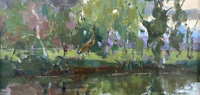 Michelle Anderson AROI