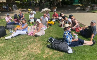A fantastic picnic day in London with the Friends of the ROI